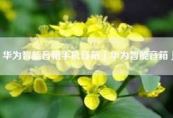 华为智能音箱手机音箱「华为智能音箱」