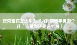 选荣耀还是选华为华为和荣耀手机哪个好「选荣耀还是选华为」