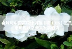 全球与中国高级计划和排程（APS）工具市场现状及未来发展趋势