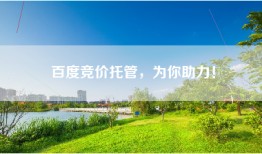 百度竞价托管，为你助力！
