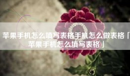 苹果手机怎么填写表格手机怎么做表格「苹果手机怎么填写表格」