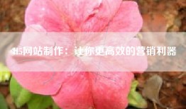 H5网站制作：让你更高效的营销利器