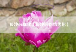 长沙seo优化（长沙seo网络优化）