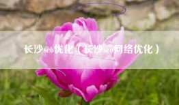 长沙seo优化（长沙seo网络优化）