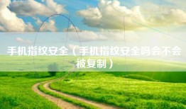 手机指纹安全（手机指纹安全吗会不会被复制）