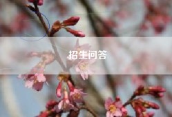 招生问答