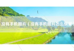 没有手机图片（没有手机图片怎么恢复）