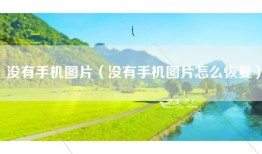 没有手机图片（没有手机图片怎么恢复）