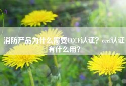 消防产品为什么需要CCCF认证？cccf认证有什么用？