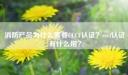 消防产品为什么需要CCCF认证？cccf认证有什么用？