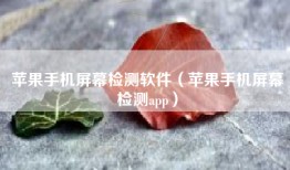 苹果手机屏幕检测软件（苹果手机屏幕检测app）