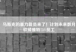 马斯克的暴力裁员来了！计划未来数月砍掉推特75%员工