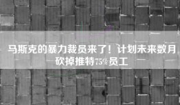 马斯克的暴力裁员来了！计划未来数月砍掉推特75%员工