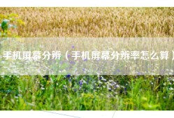 手机屏幕分辨（手机屏幕分辨率怎么算）