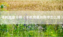 手机屏幕分辨（手机屏幕分辨率怎么算）