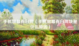 手机屏幕有白斑（手机屏幕有白斑块是什么原因）