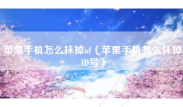 苹果手机怎么抹掉id（苹果手机怎么抹掉ID号）