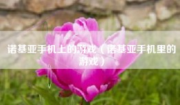 诺基亚手机上的游戏（诺基亚手机里的游戏）