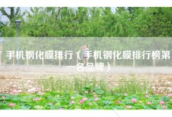 手机钢化膜排行（手机钢化膜排行榜第一名品牌）
