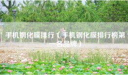 手机钢化膜排行（手机钢化膜排行榜第一名品牌）