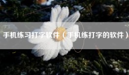 手机练习打字软件（手机练打字的软件）