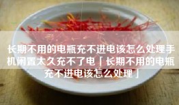 长期不用的电瓶充不进电该怎么处理手机闲置太久充不了电「长期不用的电瓶充不进电该怎么处理」