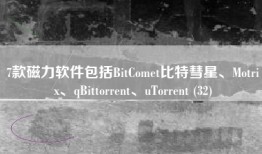 7款磁力软件包括BitComet比特彗星、Motrix、qBittorrent、uTorrent (32)
