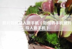 照片如何导入新手机（如何将手机照片导入新手机）