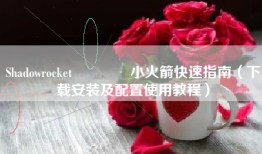 Shadowrocket🚀小火箭快速指南（下载安装及配置使用教程）
