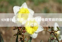 SEM是什么电商，带你了解电商营销的强大武器