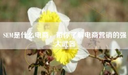 SEM是什么电商，带你了解电商营销的强大武器