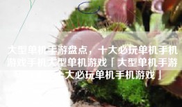 大型单机手游盘点，十大必玩单机手机游戏手机大型单机游戏「大型单机手游盘点，十大必玩单机手机游戏」