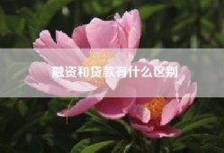 融资和贷款有什么区别