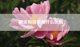 融资和贷款有什么区别