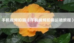 手机视频拍摄（手机视频拍摄运镜教程）