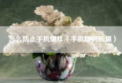 怎么防止手机爆炸（手机如何防爆）