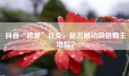 抖音“跨界”社交，能否撼动微信霸主地位？