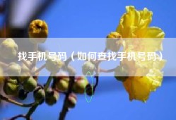 找手机号码（如何查找手机号码）