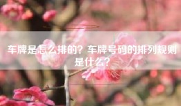 车牌是怎么排的？车牌号码的排列规则是什么？