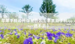 苹果手机公开版是什么（苹果新手机app store进不去）