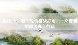 暴跌10%！新一轮价格战打响，一文看懂新能源汽车行业