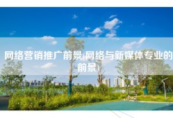 网络营销推广前景(网络与新媒体专业的前景)