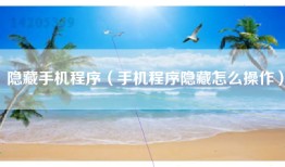 隐藏手机程序（手机程序隐藏怎么操作）