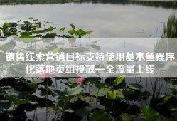 销售线索营销目标支持使用基木鱼程序化落地页组投放—全流量上线