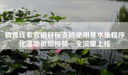 销售线索营销目标支持使用基木鱼程序化落地页组投放—全流量上线
