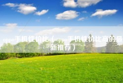 oppo手机性价比（oppo手机性价比高的最新推荐）