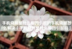 手机烧屏是什么原因引起的手机烧屏怎么解决「手机烧屏是什么原因引起的」
