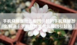 手机烧屏是什么原因引起的手机烧屏怎么解决「手机烧屏是什么原因引起的」