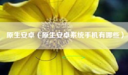 原生安卓（原生安卓系统手机有哪些）