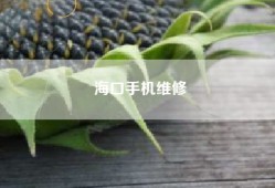 海口手机维修